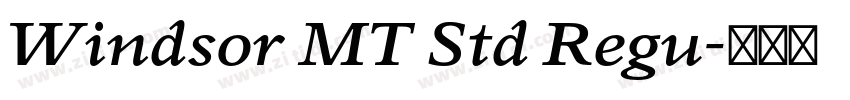 Windsor MT Std Regu字体转换